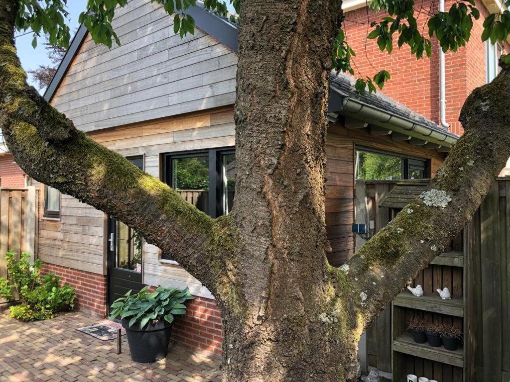 B & B Chawe Enschede Extérieur photo
